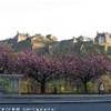 Il castello di Edimburgh REGNO UNITO 