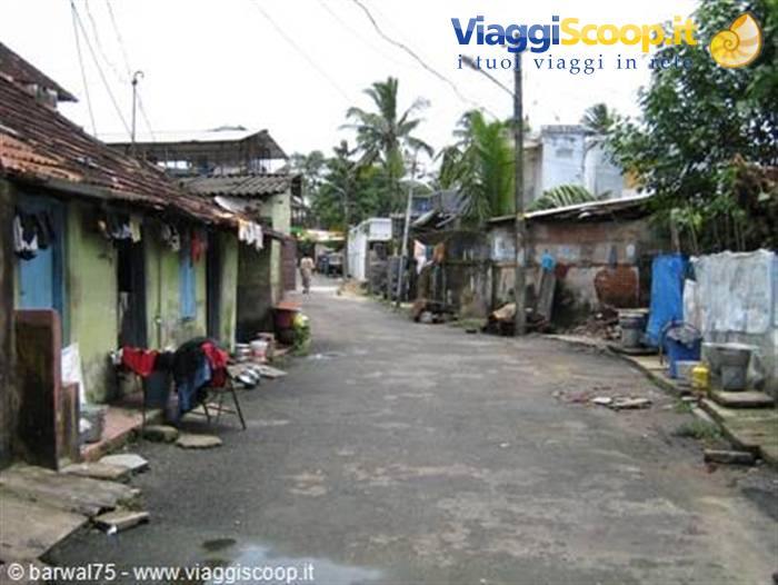FORT COCHIN: una via