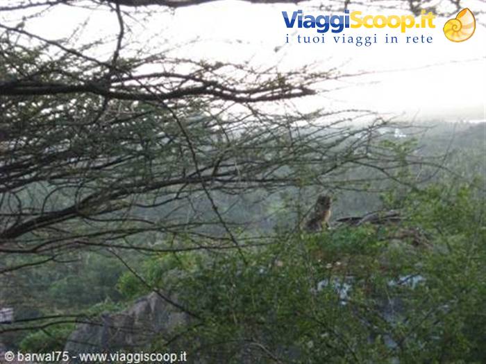 KANYAKUMARI:un eremeita sul monte sacro