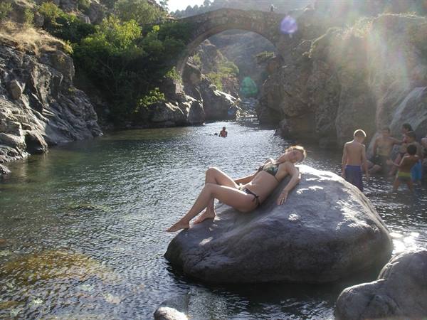 Ponte genovese