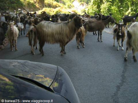 Verso Piedicroce