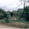  SUD AFRICA 