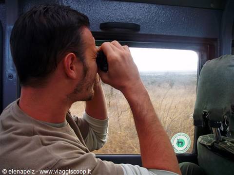 Safari ...