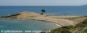 Lipsi. Monodendri