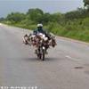 BURKINA FASO 