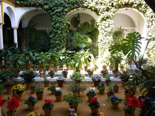 patio a Cordoba