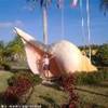 caracol CUBA 