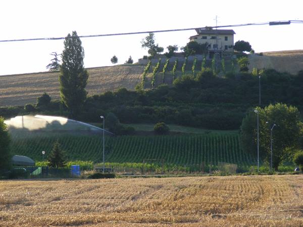 campagna umbra pian d'assino