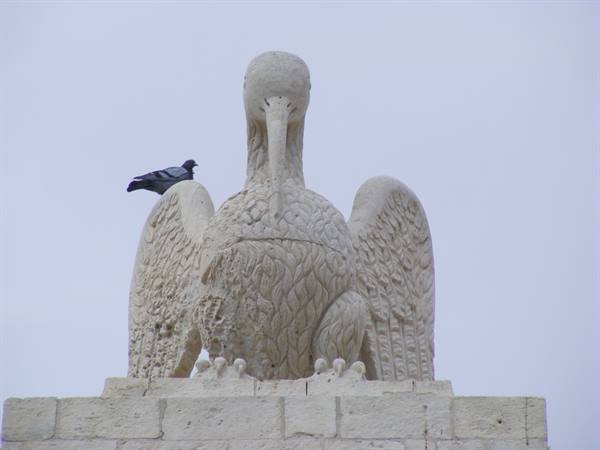 pellicano-porta reale.noto