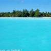  POLINESIA FRANCESE 
