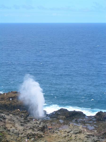 BLOW HOLE