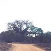  SUD AFRICA 