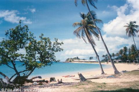 L'Isola delle 365 spiagge