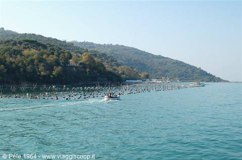 isola Palmaria