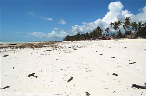la bassa marea