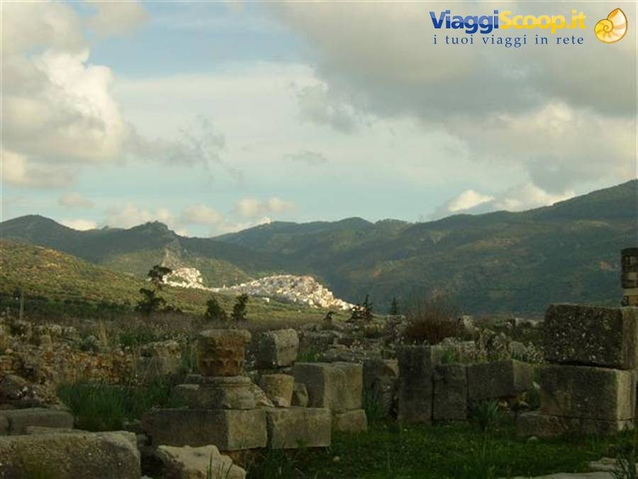 Rovine romane di Volubilis, colonne di pietra, sullo sfondo Moulay Idriss tra le colline