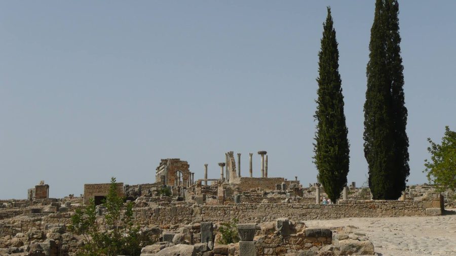 Rovine romane di Volubilis: colonne in pietra e due cipressi alti sotto cielo azzurro