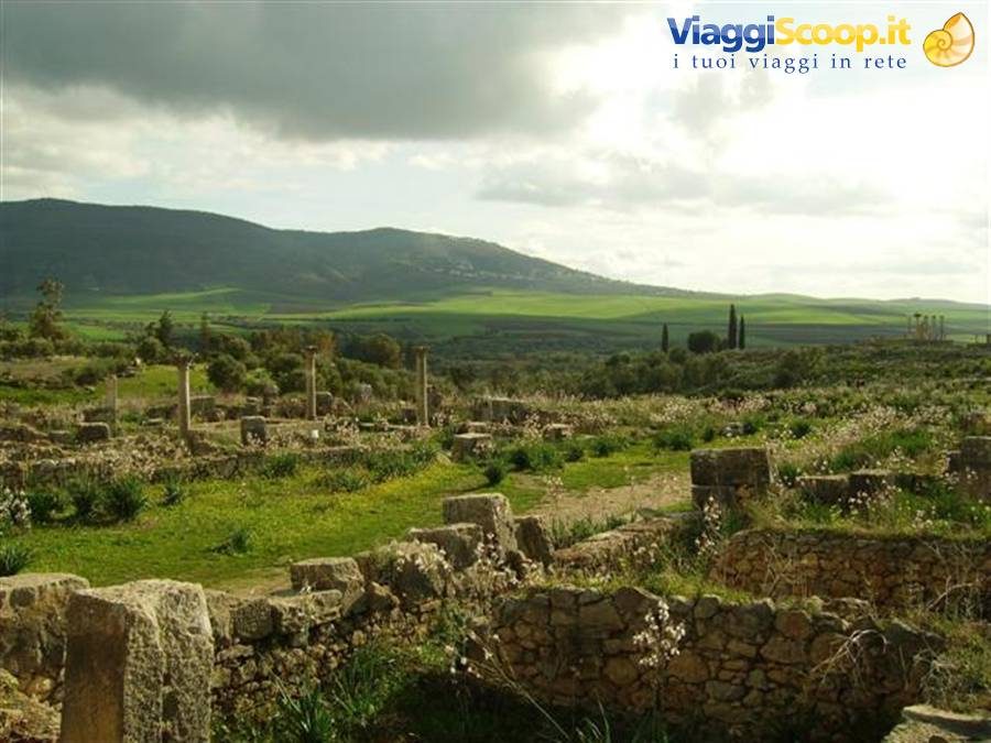 Rovine romane di Volubilis tra campi verdi e colline, colonne e muri di pietra