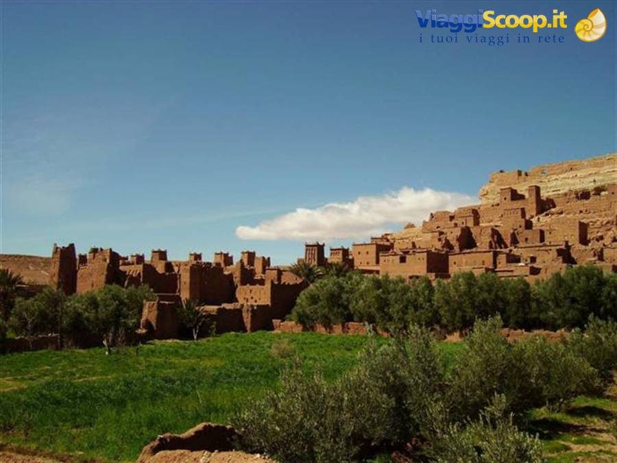 Ait Benhaddou, case in mattoni di fango sotto il cielo azzurro, olivi verdi davanti