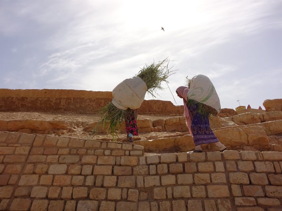 Donne con fardelli di fieno salgono il muro di mattoni ad Ait Ben Haddou