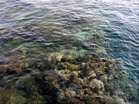 clicca qui per ingrandire la foto