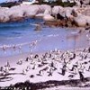 foto viaggio SUD AFRICA