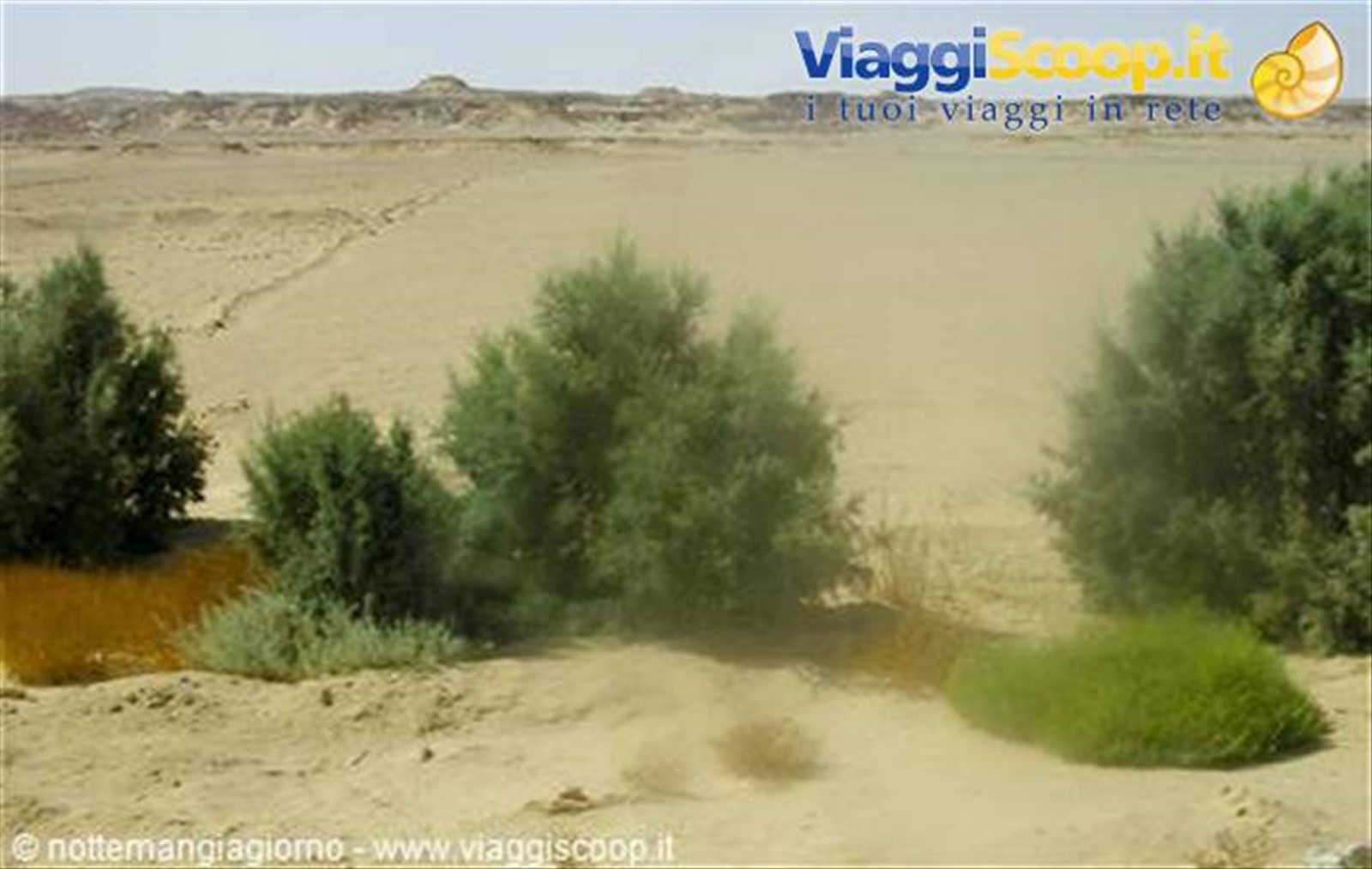 Foto di viaggio in EGITTO