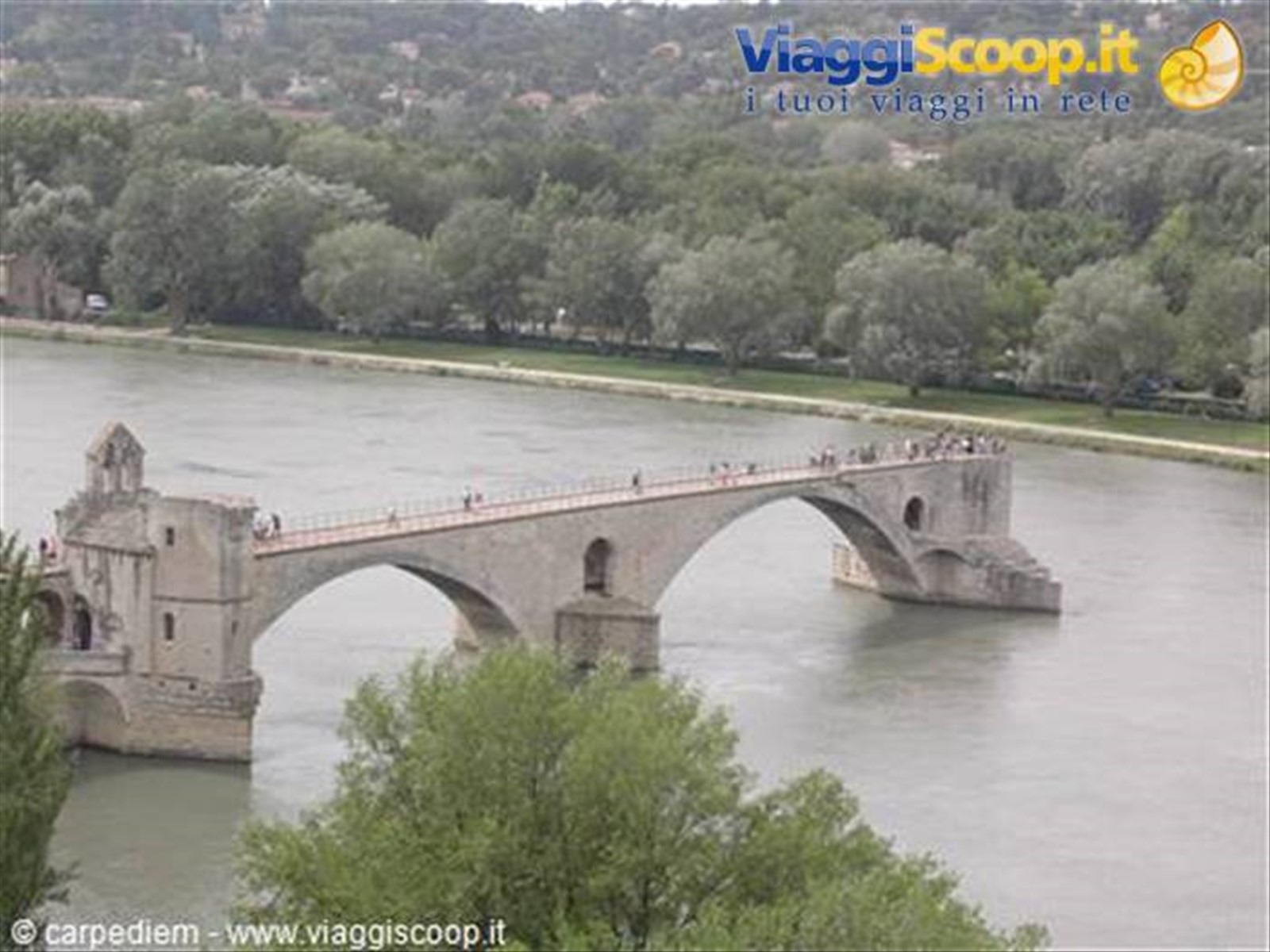 le pont D avignon