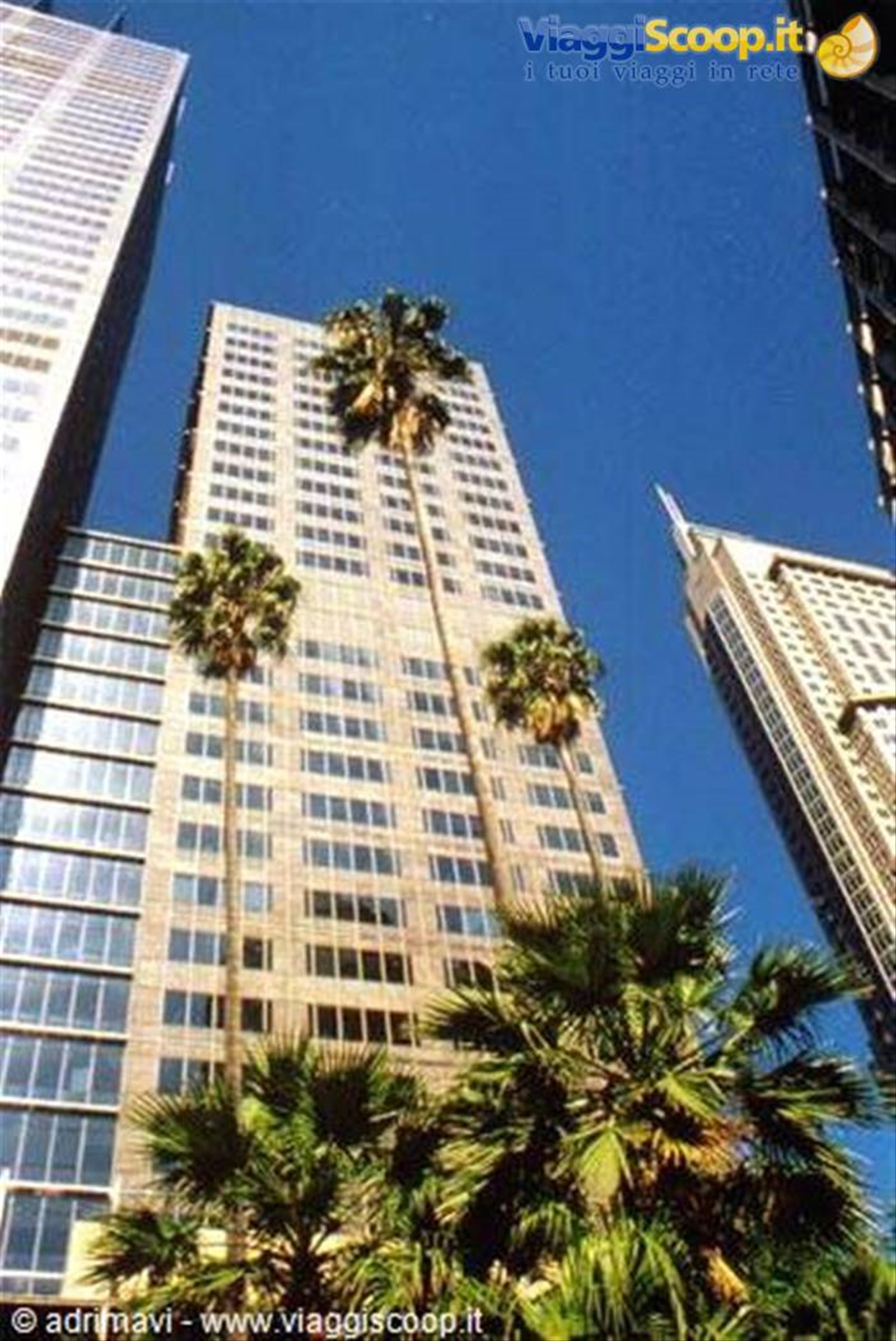 Sydney - grattacieli