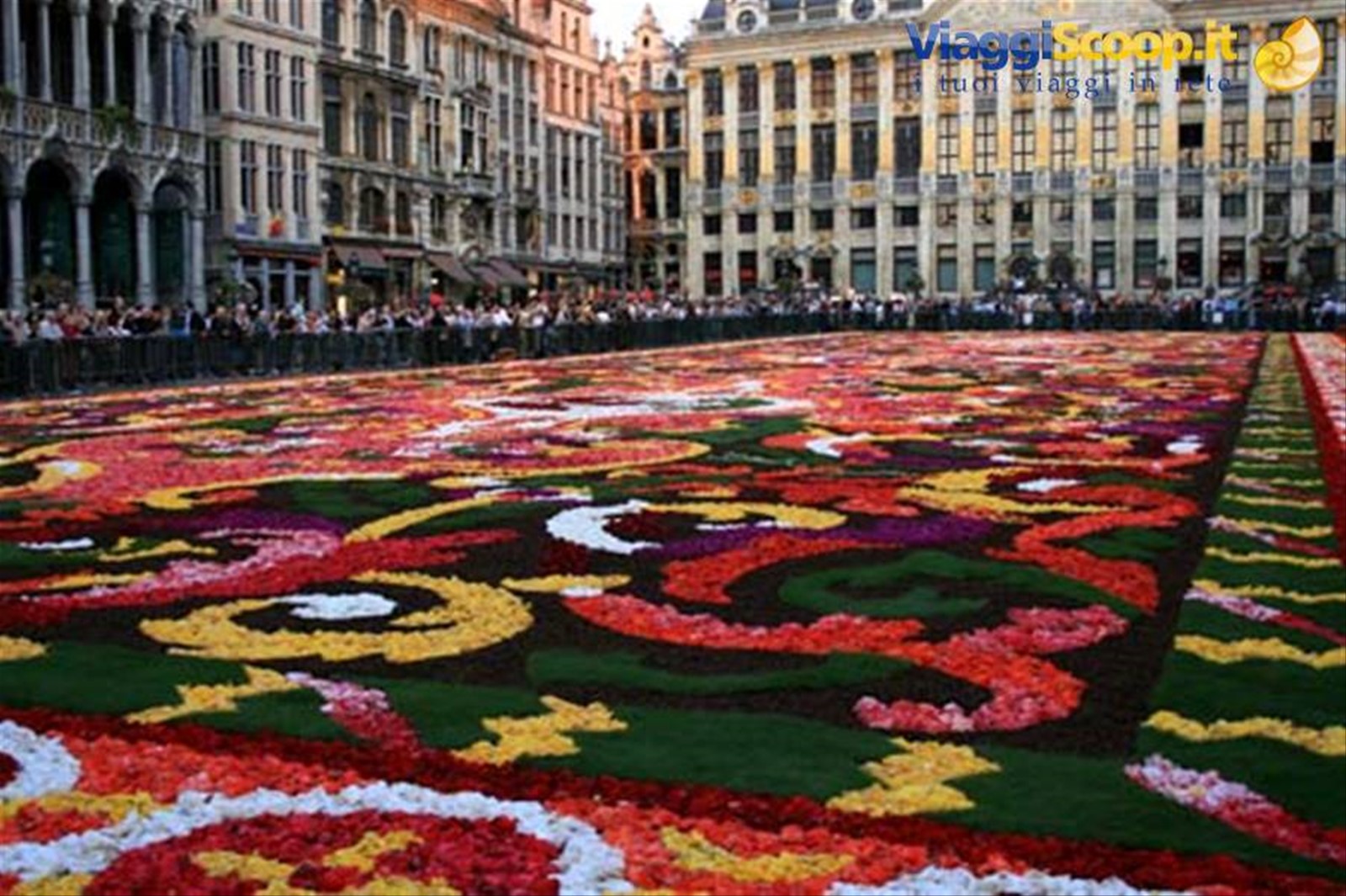 Gran Place - Bruxelles