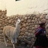 foto viaggio PERU'