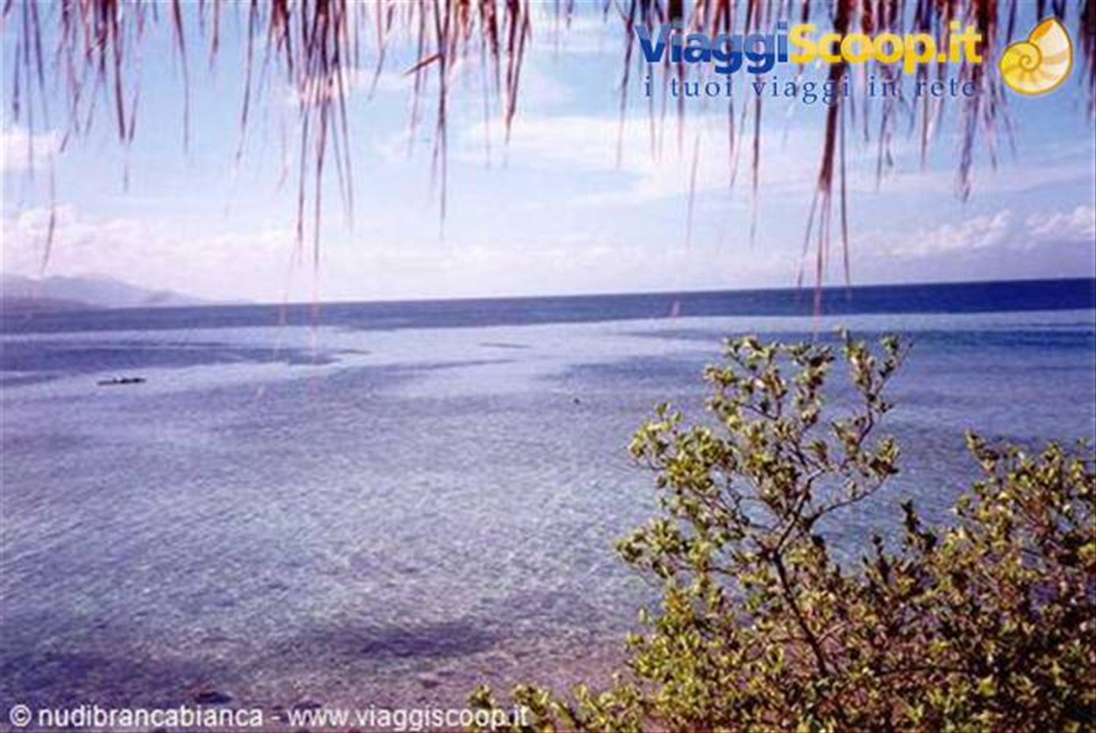 Moalboal