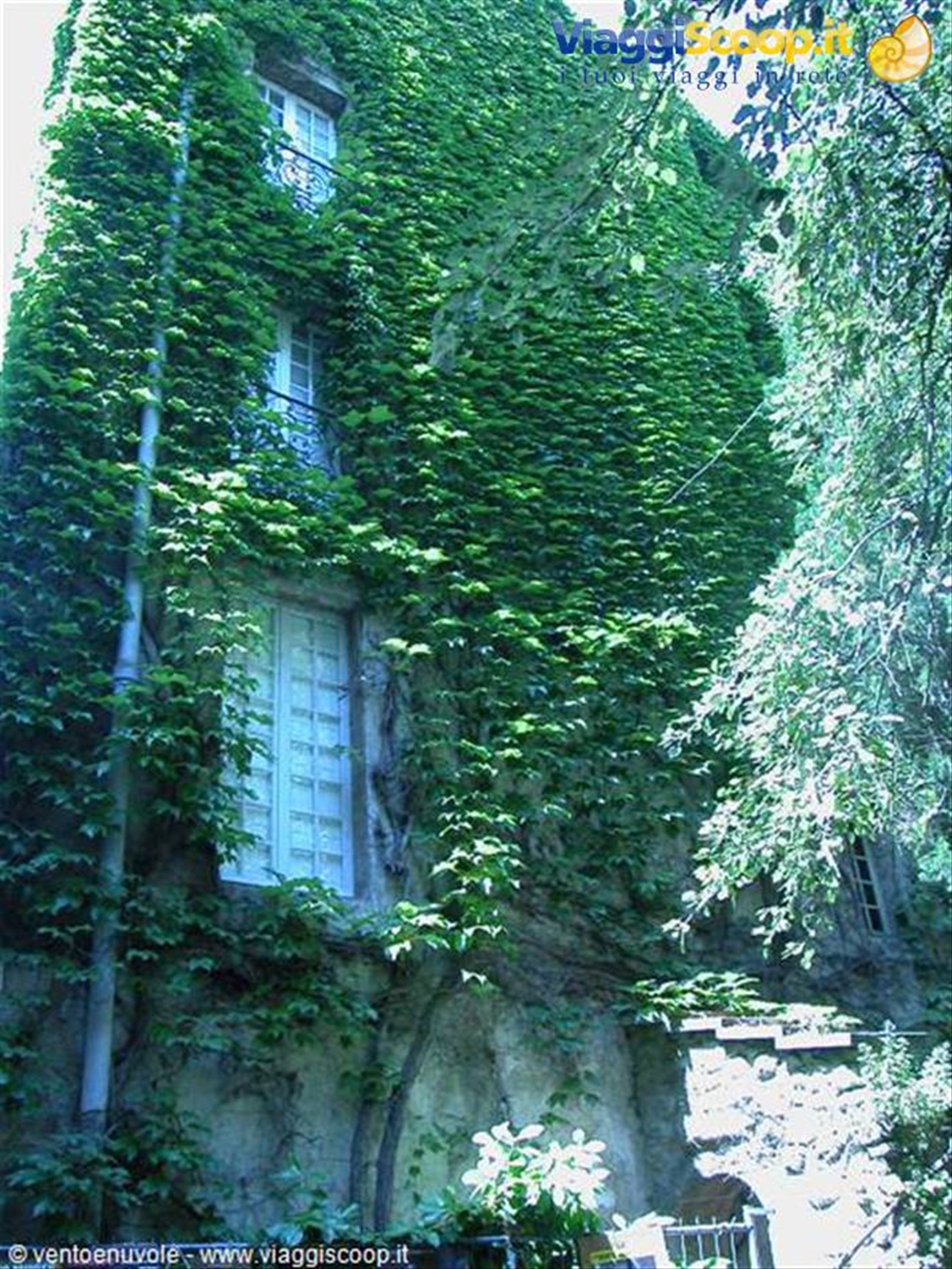 Foto di viaggio in FRANCIA