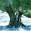 foto viaggio FRANCIA