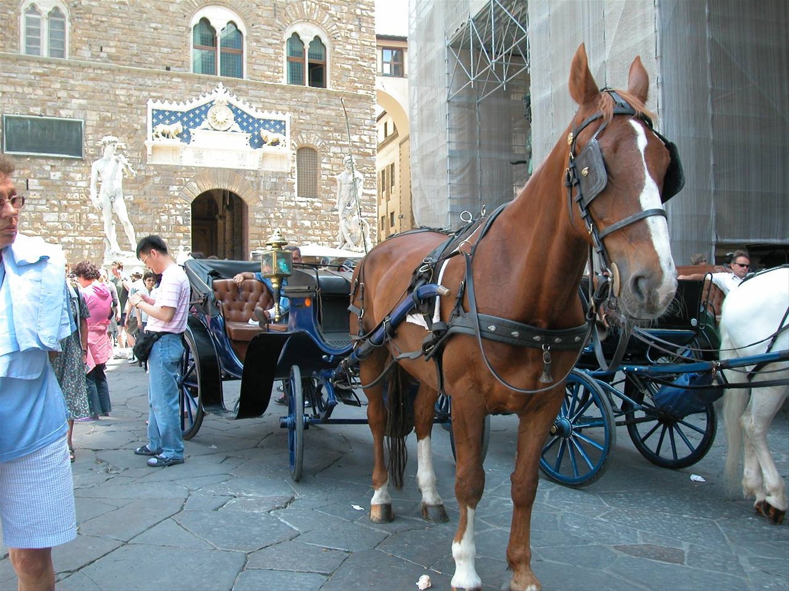 Foto di viaggio in ITALIA