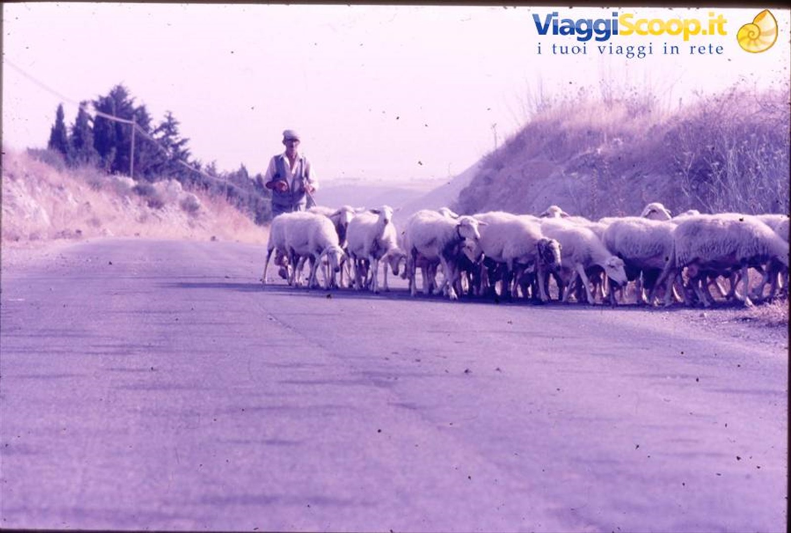 Foto di viaggio in ITALIA