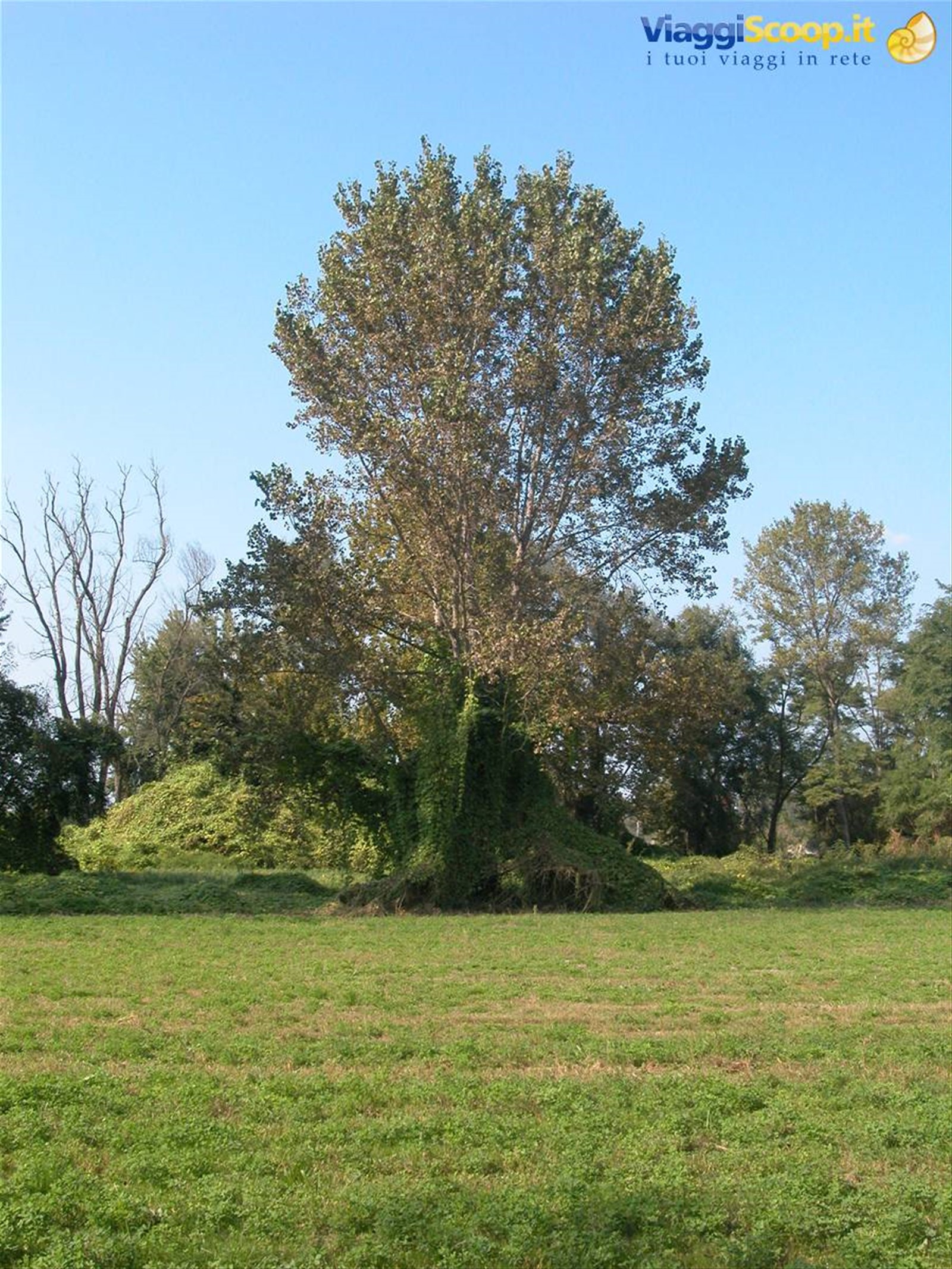 Foto di viaggio in ITALIA