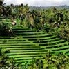 foto viaggio INDONESIA