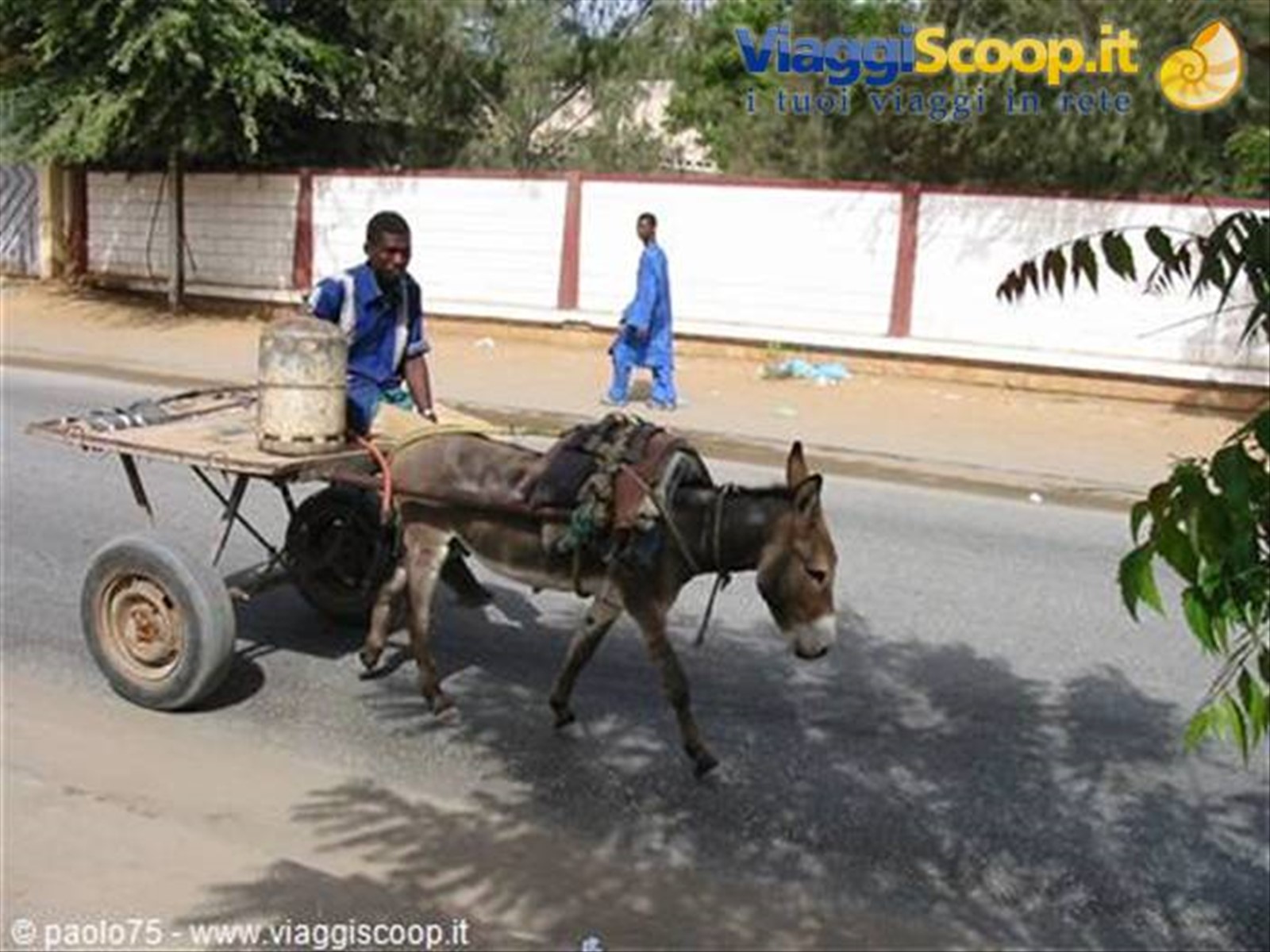 Foto di viaggio in MAURITANIA