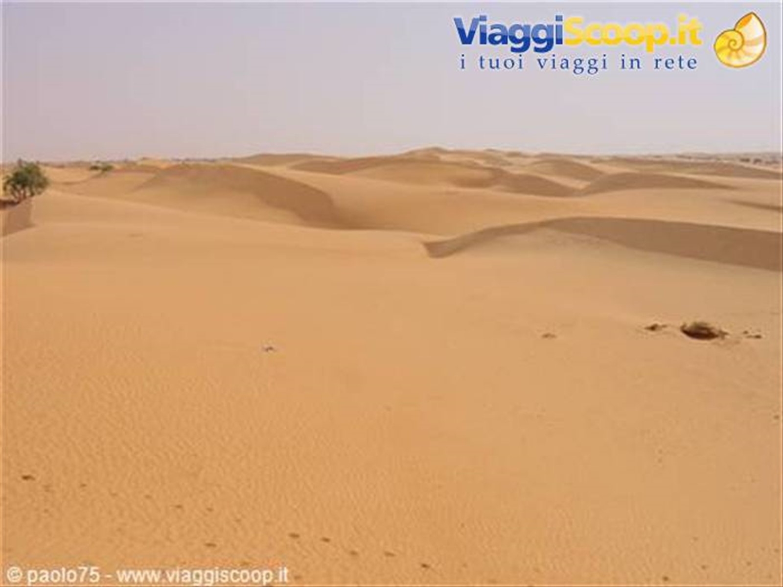 Foto di viaggio in MAURITANIA