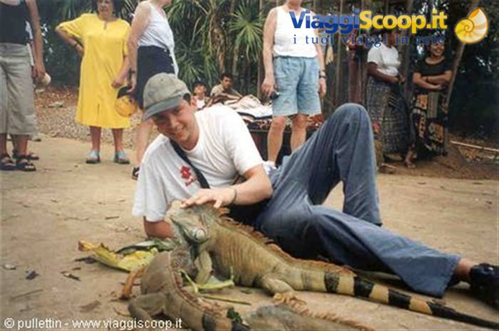 Iguana Farm