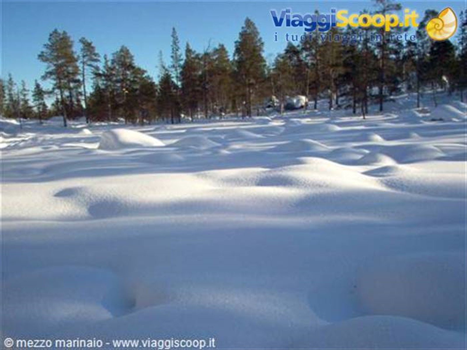 bianco
