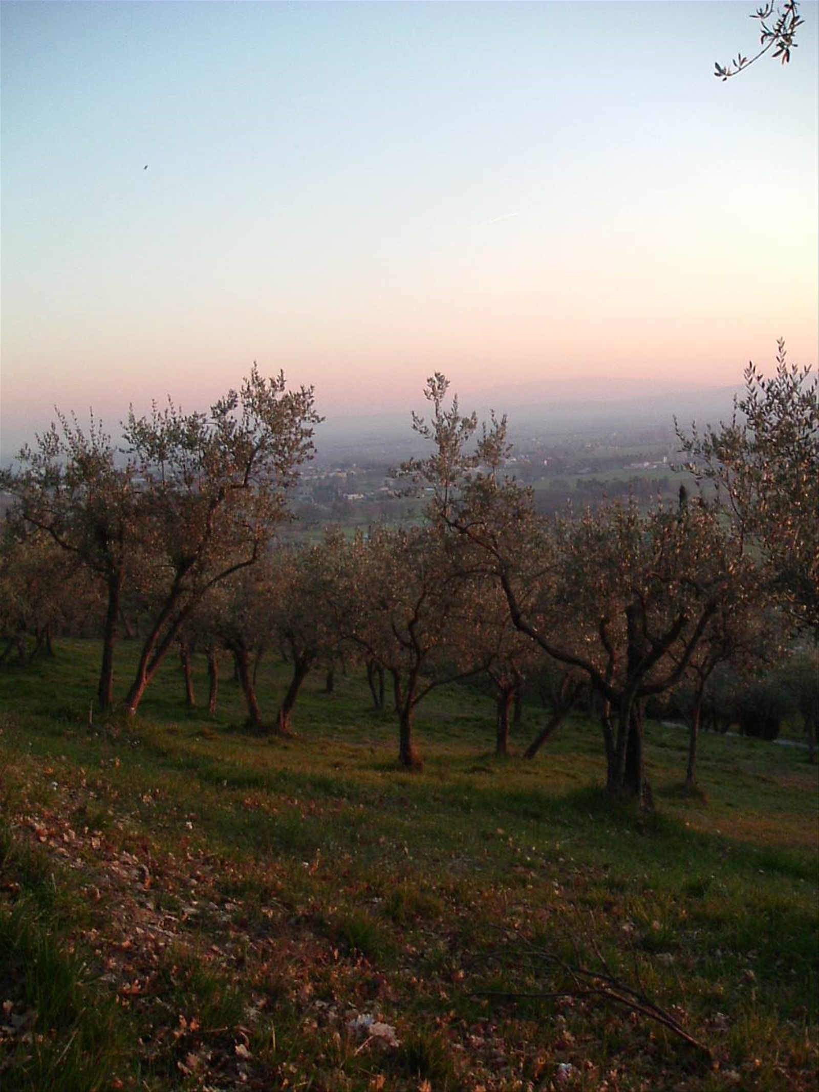 Foto di viaggio in ITALIA
