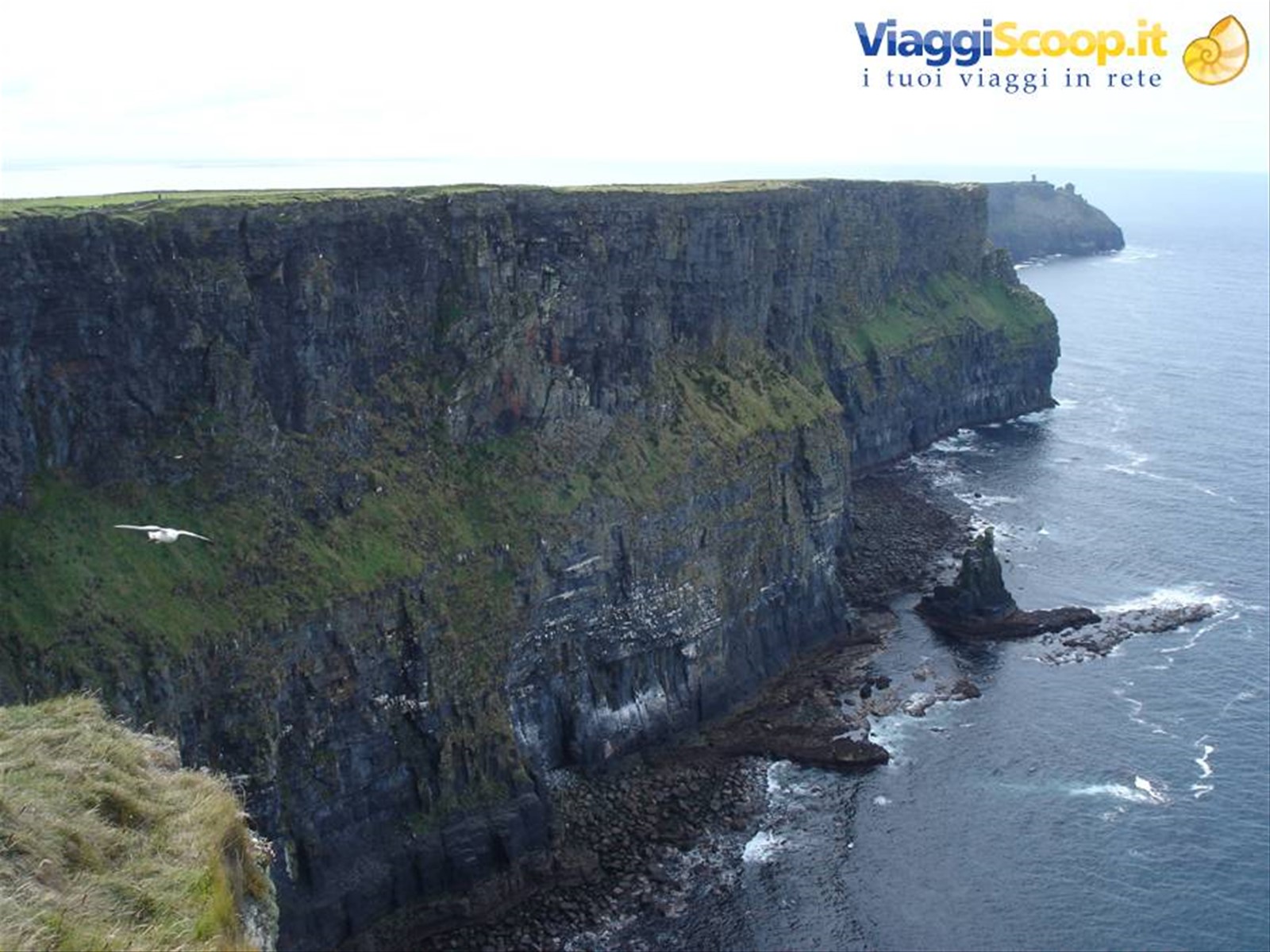 Cliffs of Moher
