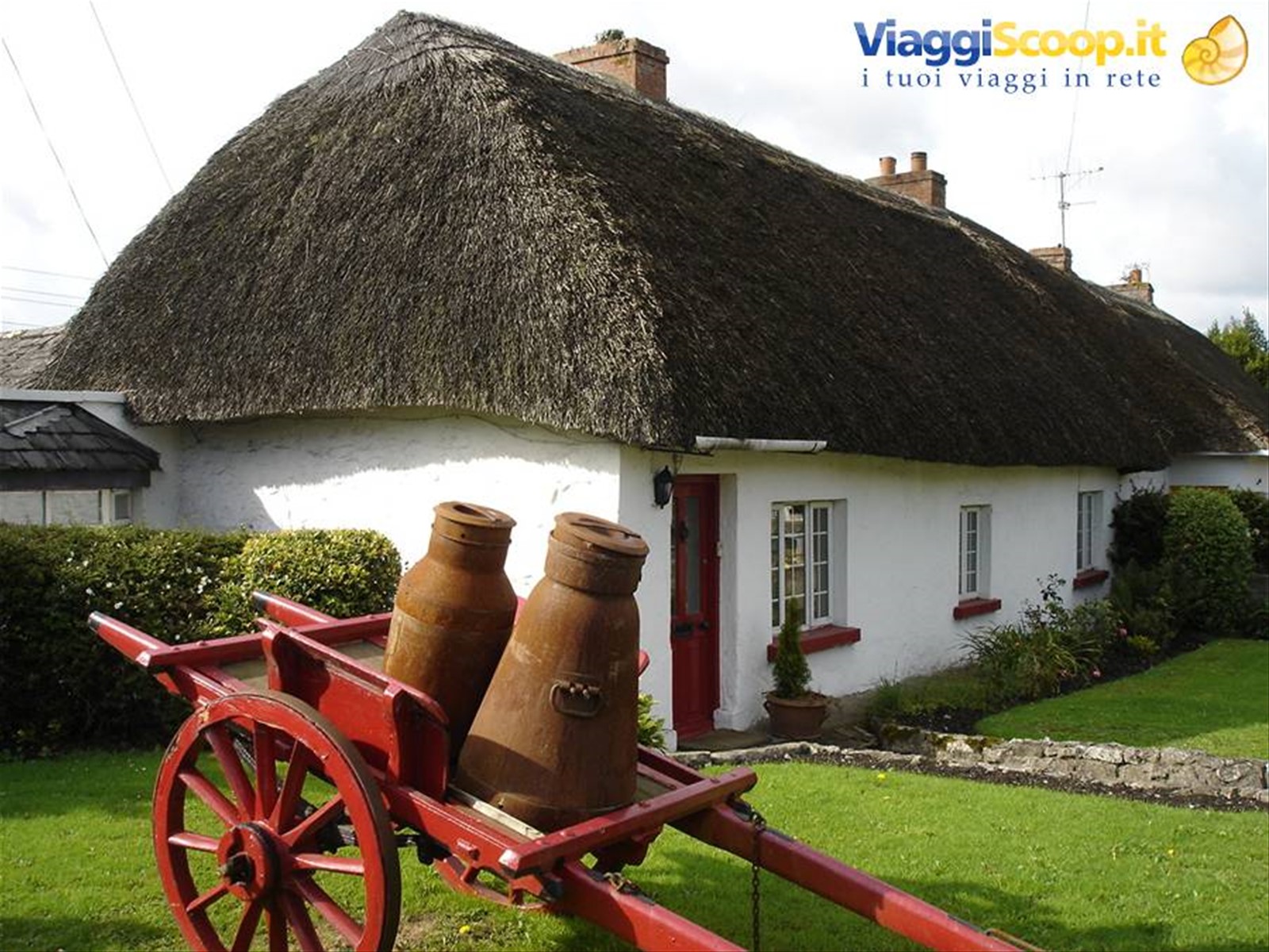 Adare