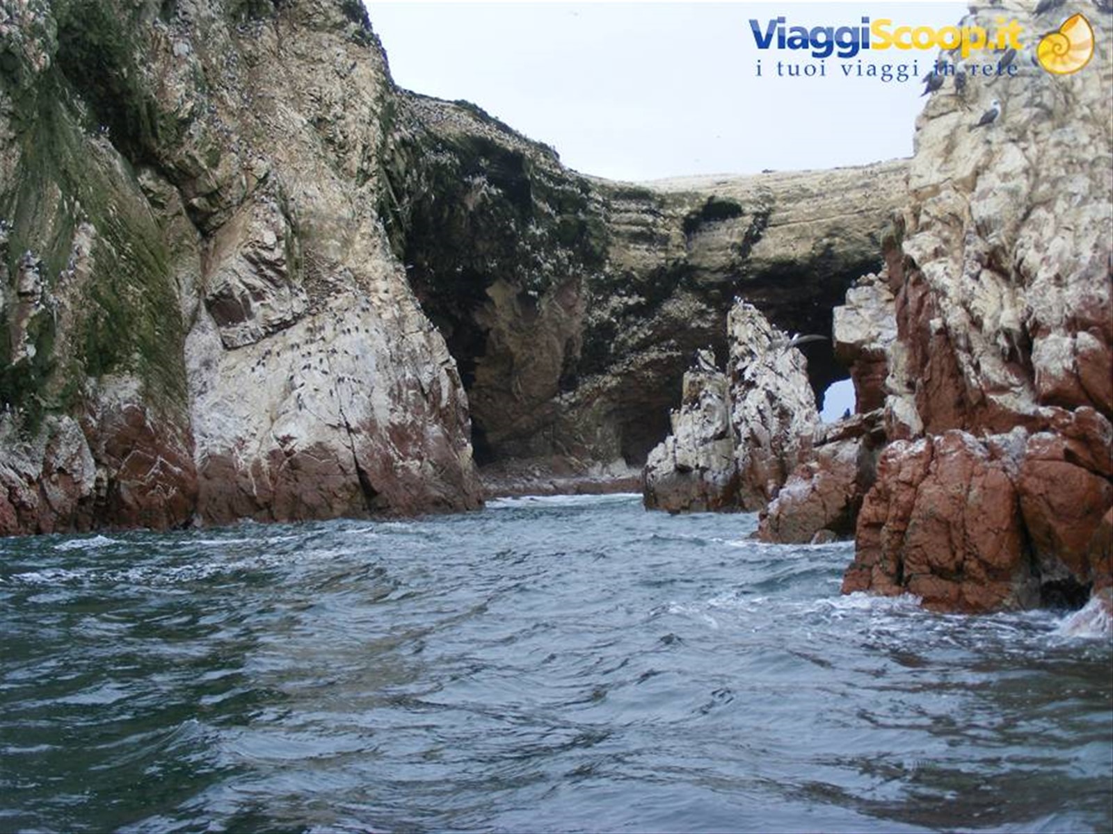 isole Ballestas