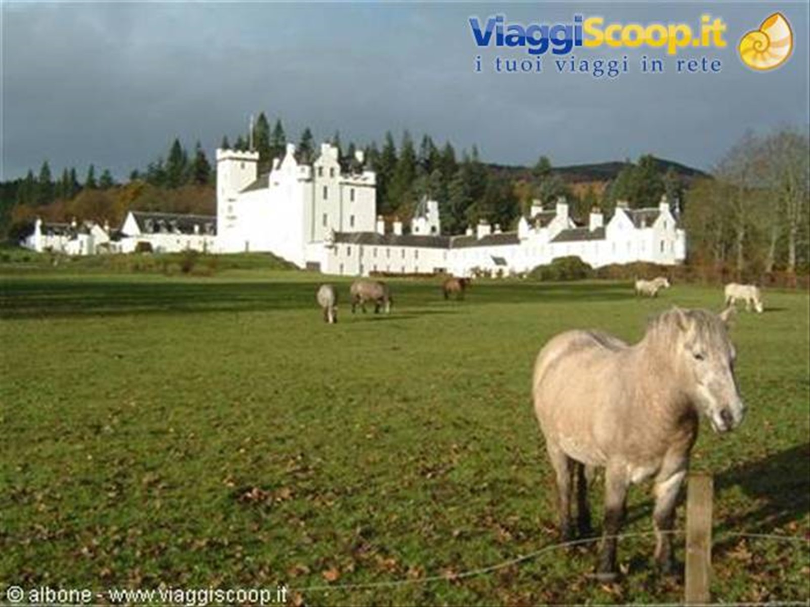 3.4 - Blair Castle.JPG