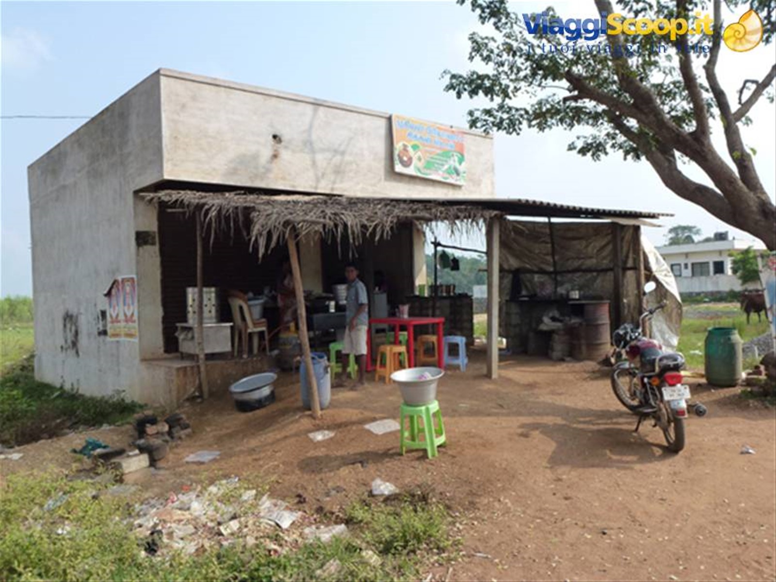 Foto di viaggio in INDIA