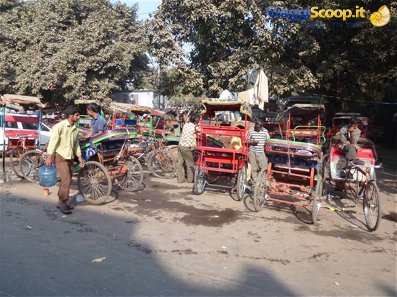 Foto di viaggio in INDIA