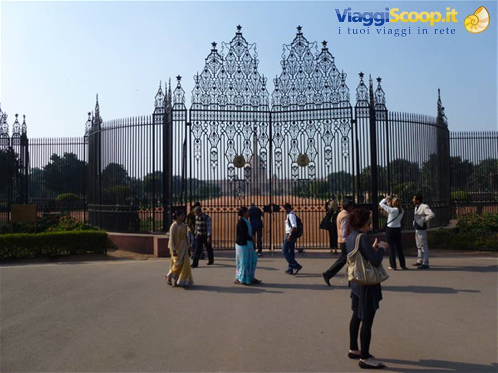 Foto di viaggio in INDIA